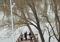 8a63b595-4659-47f3-8fc7-8d7324b3b016