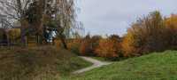 9425c3ee-7534-441d-92cb-bf5bf9a36a35