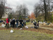 IMG_1810 IMG_1810