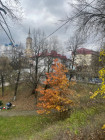 IMG_1838 IMG_1838
