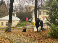 IMG_7908 IMG_7908