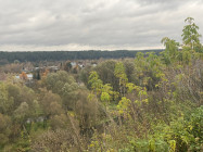 IMG_7916 IMG_7916