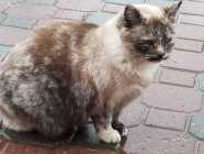 92c0efa0-63e0-46db-b53f-64cb2ed6512d 92c0efa0-63e0-46db-b53f-64cb2ed6512d