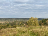 IMG_7158