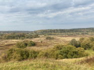 IMG_7159