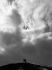 a69edaaa-5024-4e0d-9d63-b4eaf4e7758f