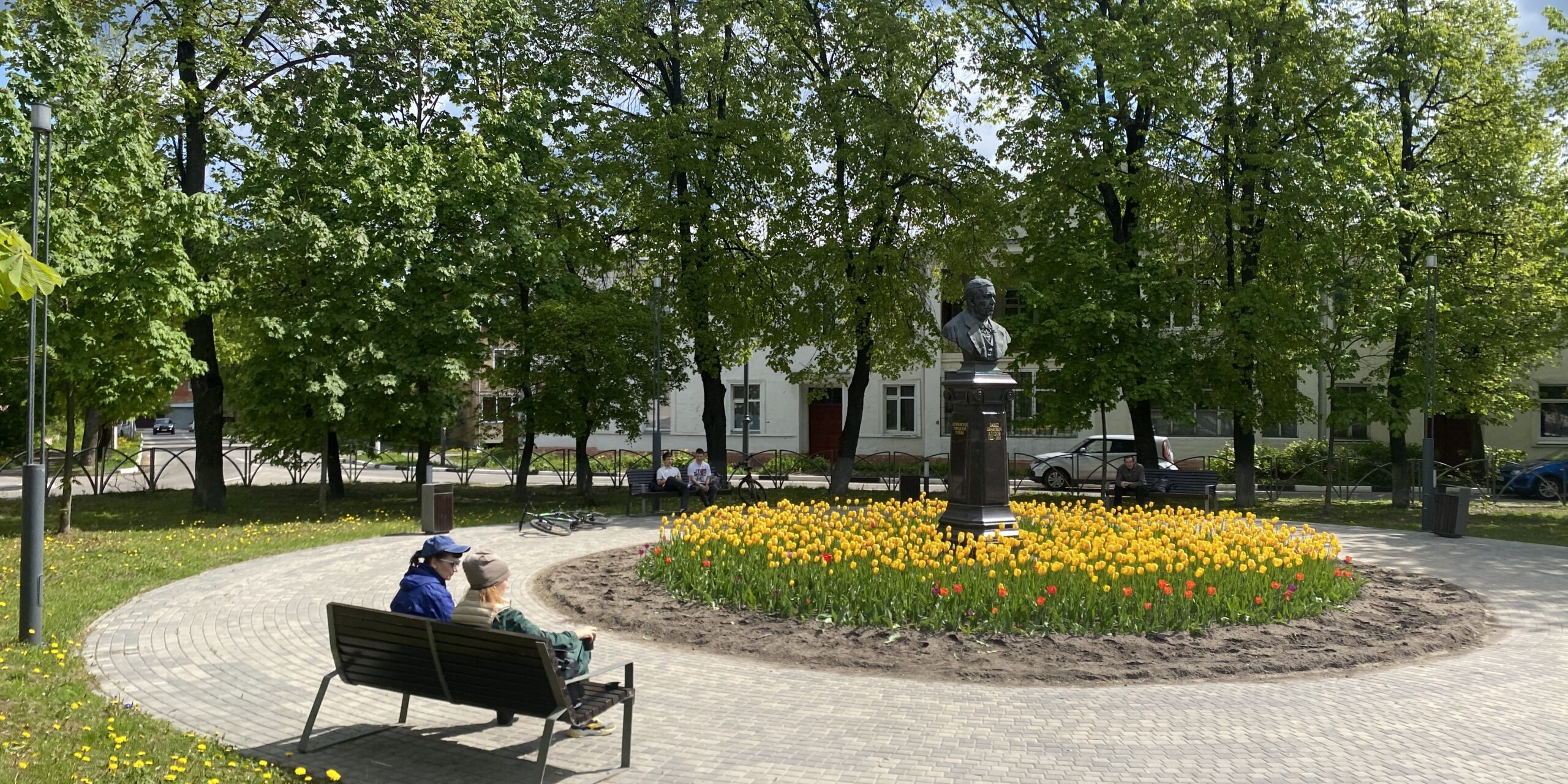 IMG 0685 IMG 0685